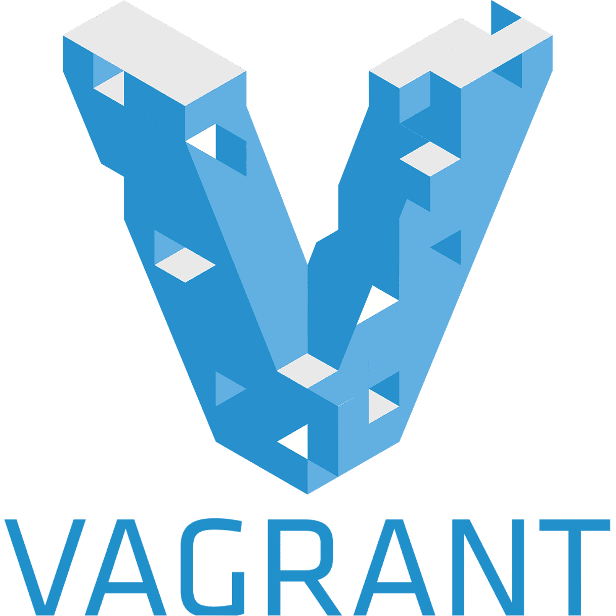 vagrant